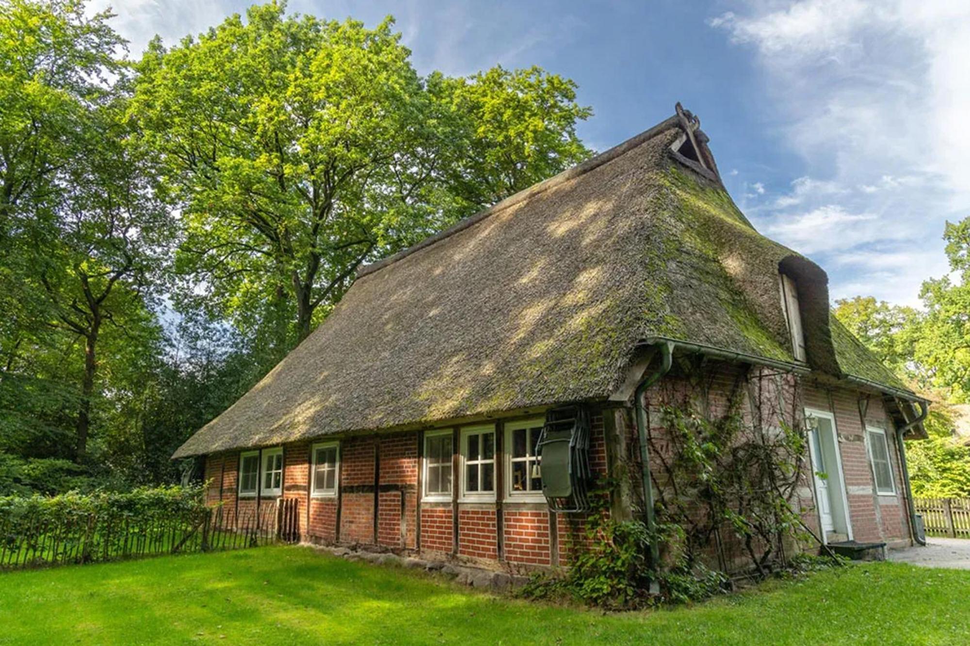 Apartmán Heide Ferien - Hof Bockelmann Bispingen Pokoj fotografie