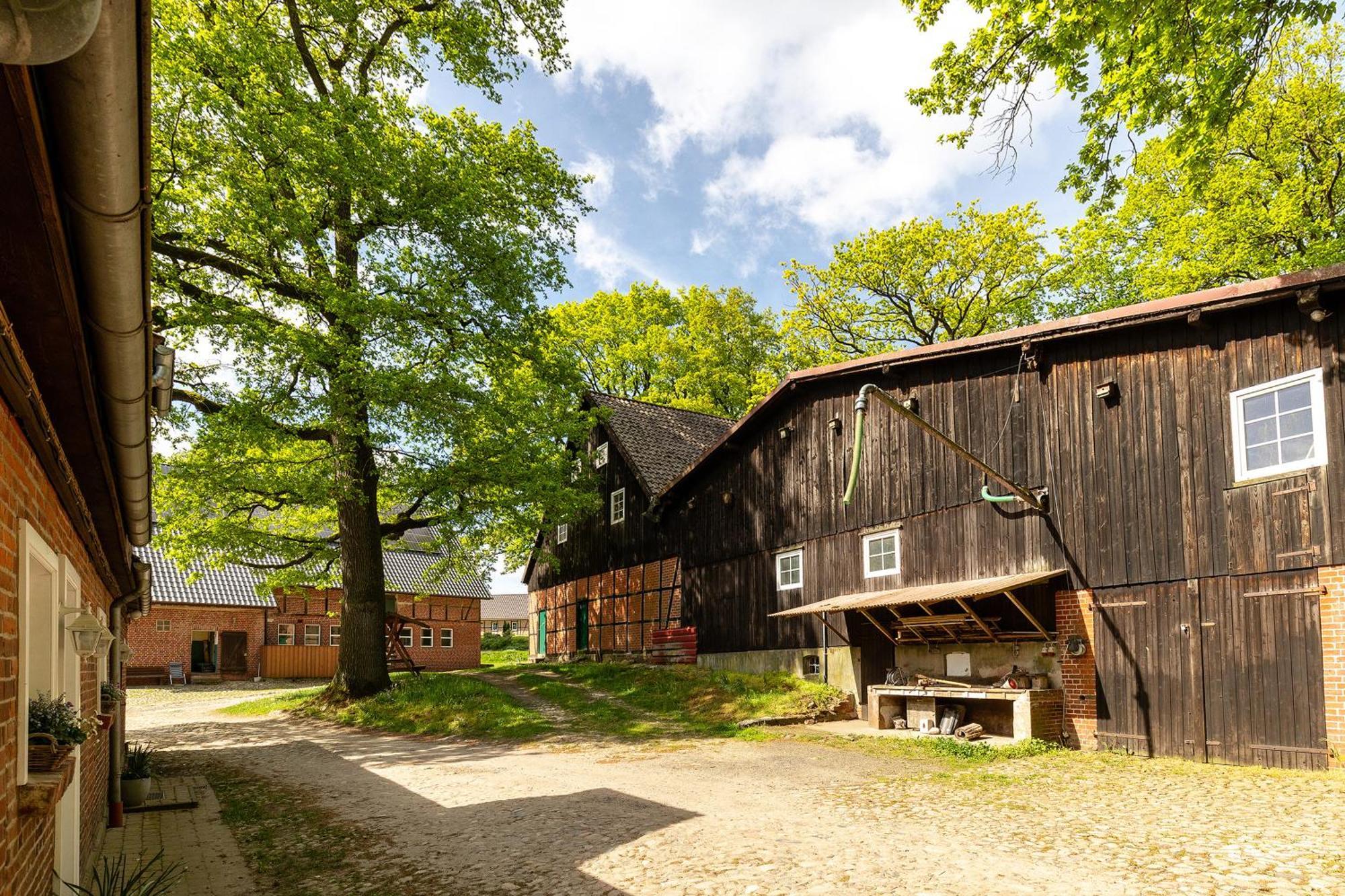 Apartmán Heide Ferien - Hof Bockelmann Bispingen Exteriér fotografie