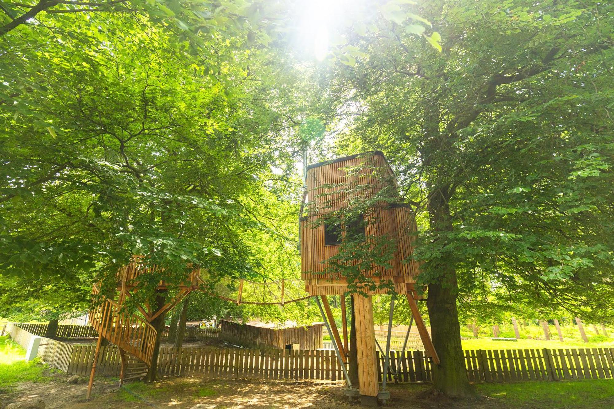 Apartmán Heide Ferien - Hof Bockelmann Bispingen Pokoj fotografie